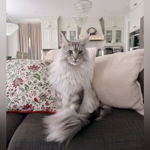 Meet your Posher, Bryana